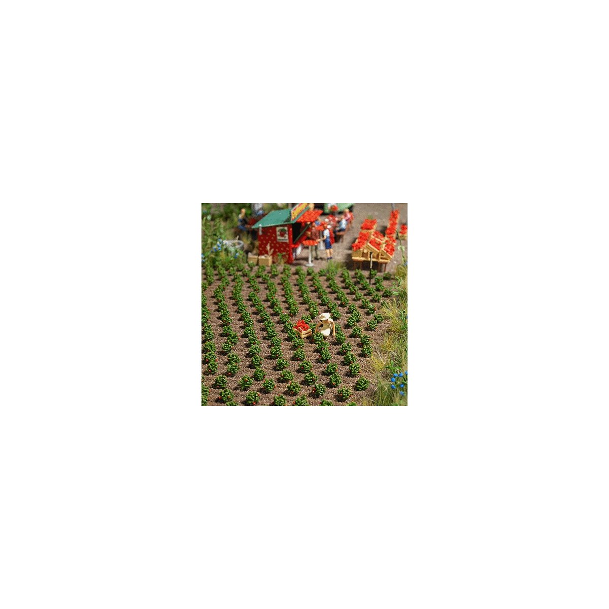 Strawberry Plants -- Kit pkg(40), HO, Busch Gmbh & Co Kg 1265