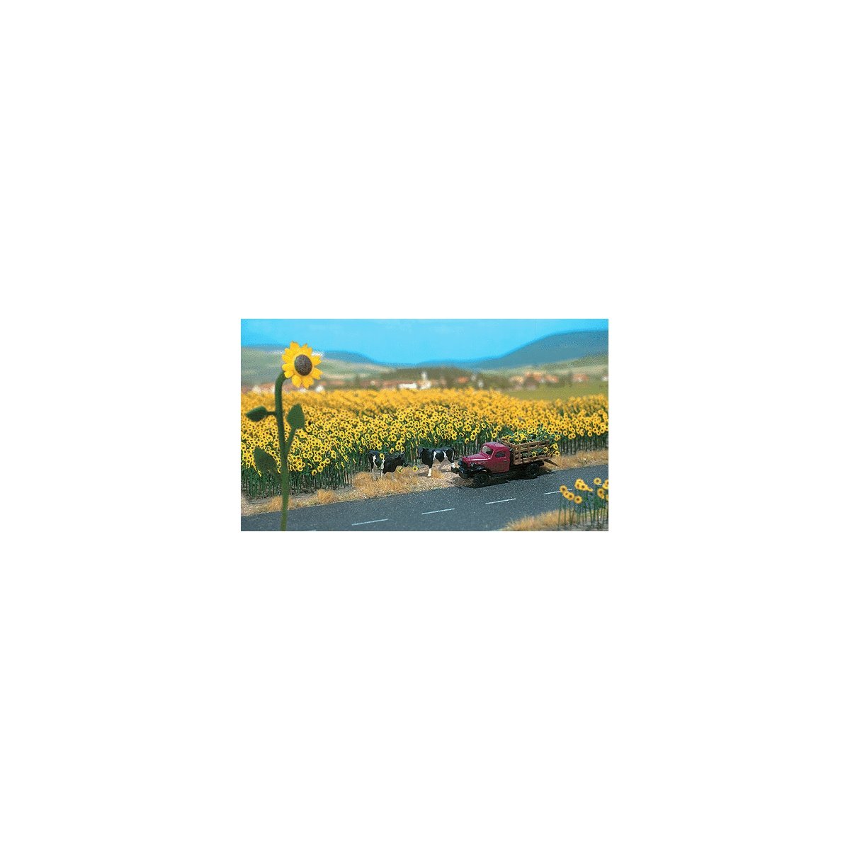 Sunflower Field pkg(60) -- With Bases, HO, Busch Gmbh & Co Kg 6003