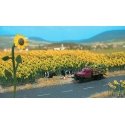 Sunflower Field pkg(60) -- With Bases, HO, Busch Gmbh & Co Kg 6003