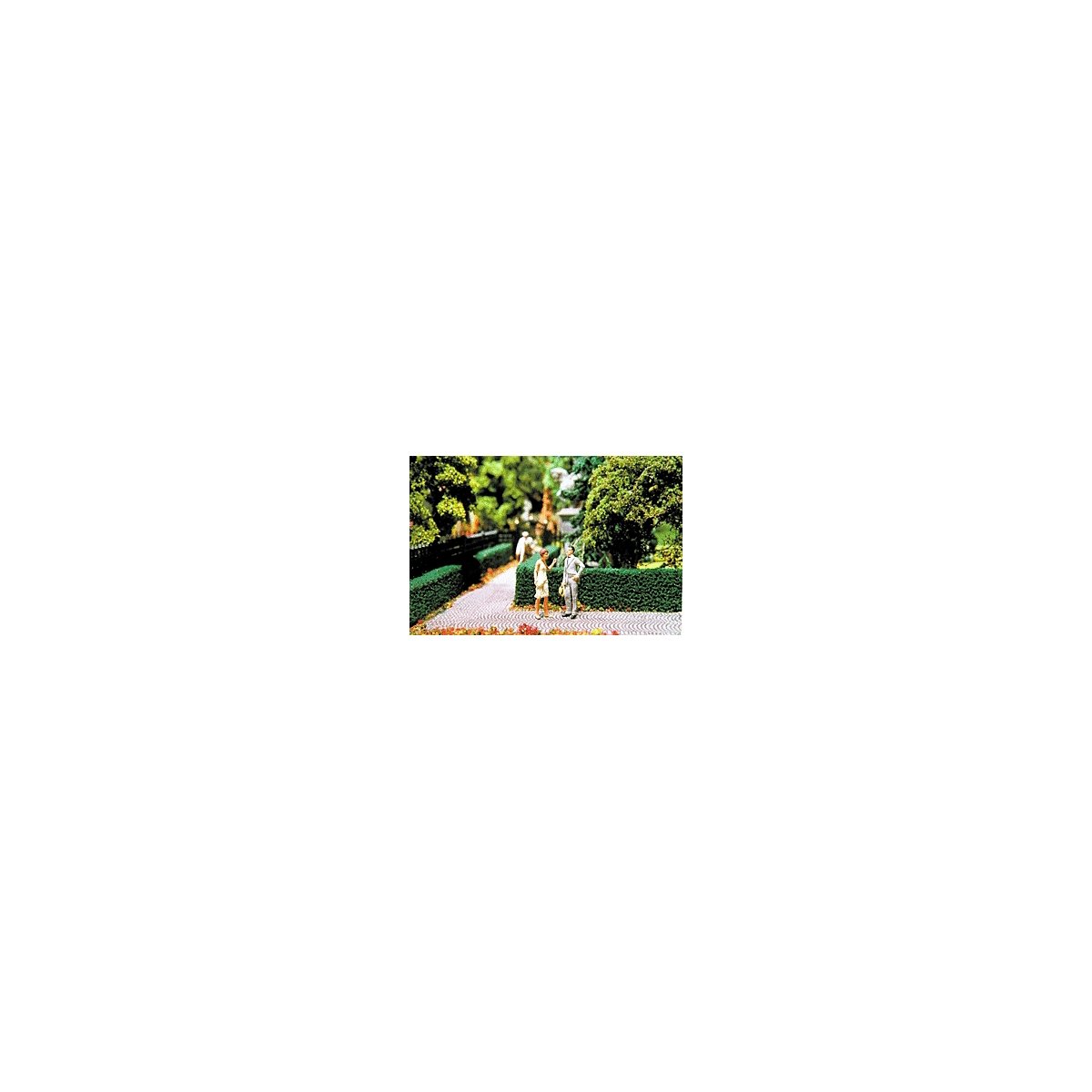 Ornamental Hedges & Shrubbery -- Boxwood Hedges (green) 24 x 3/4 x 1/2′, O, Scenic Express 510