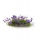 Peel `n` Plant Tufts - All Game Terrain -- Purple Flowers, All Scales, Woodland Scenics 6628