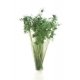 Peel `n` Plant Tufts - All Game Terrain -- Dark Green Shrubs, All Scales, Woodland Scenics 6632