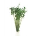 Peel `n` Plant Tufts - All Game Terrain -- Dark Green Shrubs, All Scales, Woodland Scenics 6632