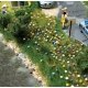 Summer Flowers - Kit -- pkg(120), HO, Busch Gmbh & Co Kg 1229