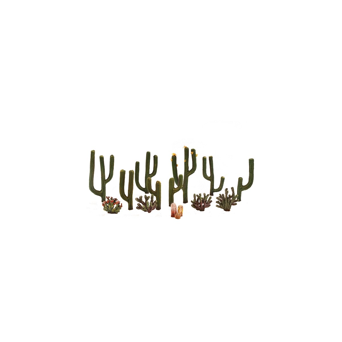 Cactus - Woodland Classics(TM) Ready Made Trees(TM) -- 1/2 to 2-1/2′ 1.3 to 6.4cm pkg(1, All Scales, Woodland Scenics 3600