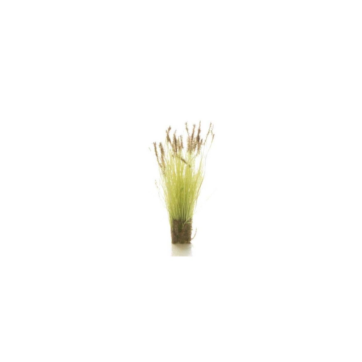 Peel `n` Plant Tufts - All Game Terrain -- Cattails, All Scales, Woodland Scenics 6633