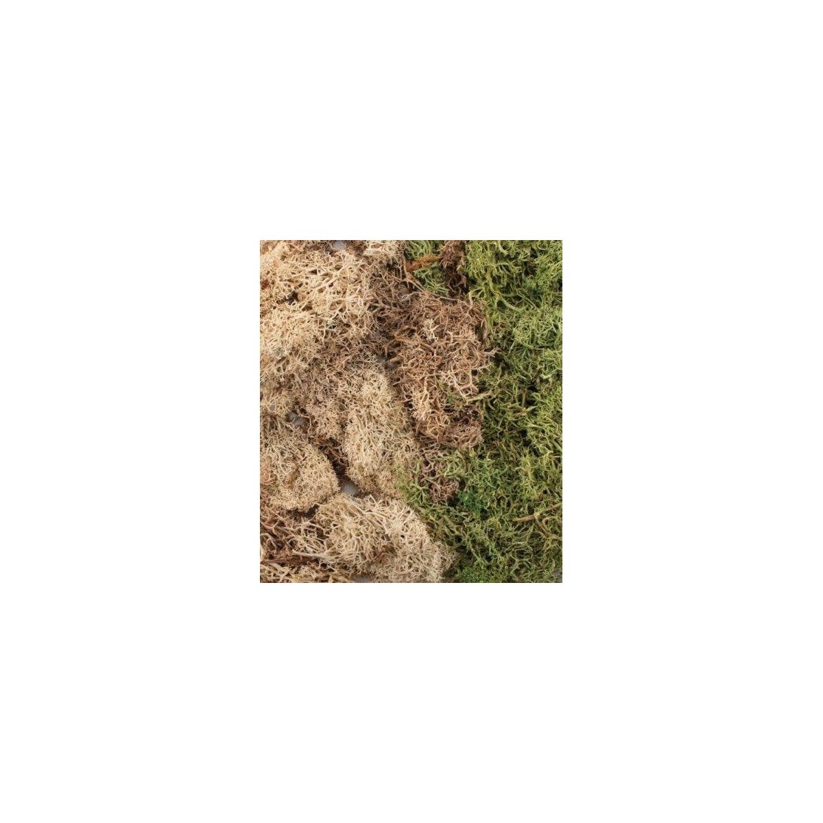 EZ Bushes - All Game Terrain -- Winter Mix, All Scales, Woodland Scenics 6500