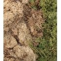 EZ Bushes - All Game Terrain -- Winter Mix, All Scales, Woodland Scenics 6500