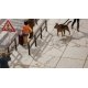 Large Concrete Slabs/Sidewalks - Laser-Cut Kit -- 7/8 x 7/8′ 2.3 x 2.3cm pkg(40), HO, Noch Gmbh & Co 14237