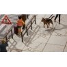 Large Concrete Slabs/Sidewalks - Laser-Cut Kit -- 7/8 x 7/8′ 2.3 x 2.3cm pkg(40), HO, Noch Gmbh & Co 14237