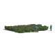 Picking Forest Blueberries - Action Set -- 2 Figures, 2-3/4 x 2-1/4′ 8 x 7cm Blueberry Patch,, HO, Busch Gmbh & Co Kg 7956