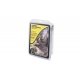 Learning Kit -- Rivers & Waterfalls, All Scales, Woodland Scenics 955