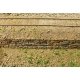 Flexible Sea Wall Sheet -- Medium for HO Scale: 3-3/4 x 12′ 9.5 x 30.5cm, All Scales, Chooch Enterprises 8568