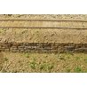 Flexible Sea Wall Sheet -- Medium for HO Scale: 3-3/4 x 12′ 9.5 x 30.5cm, All Scales, Chooch Enterprises 8568