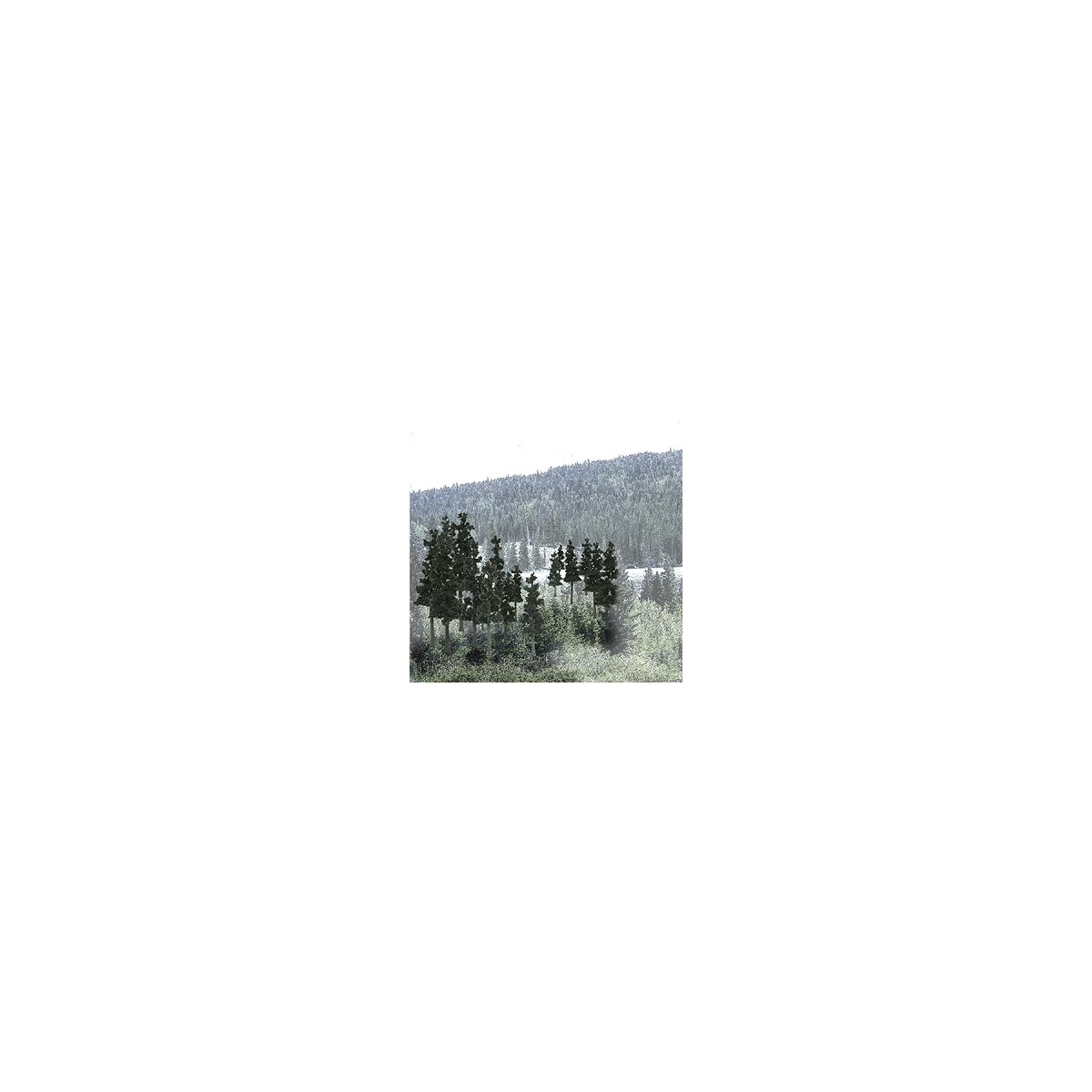 Coniferous Tree Pack - Ready Made Trees(TM) -- 2-1/2 to 4′ 6.4 to 10.2cm pkg(33), All Scales, Woodland Scenics 1580