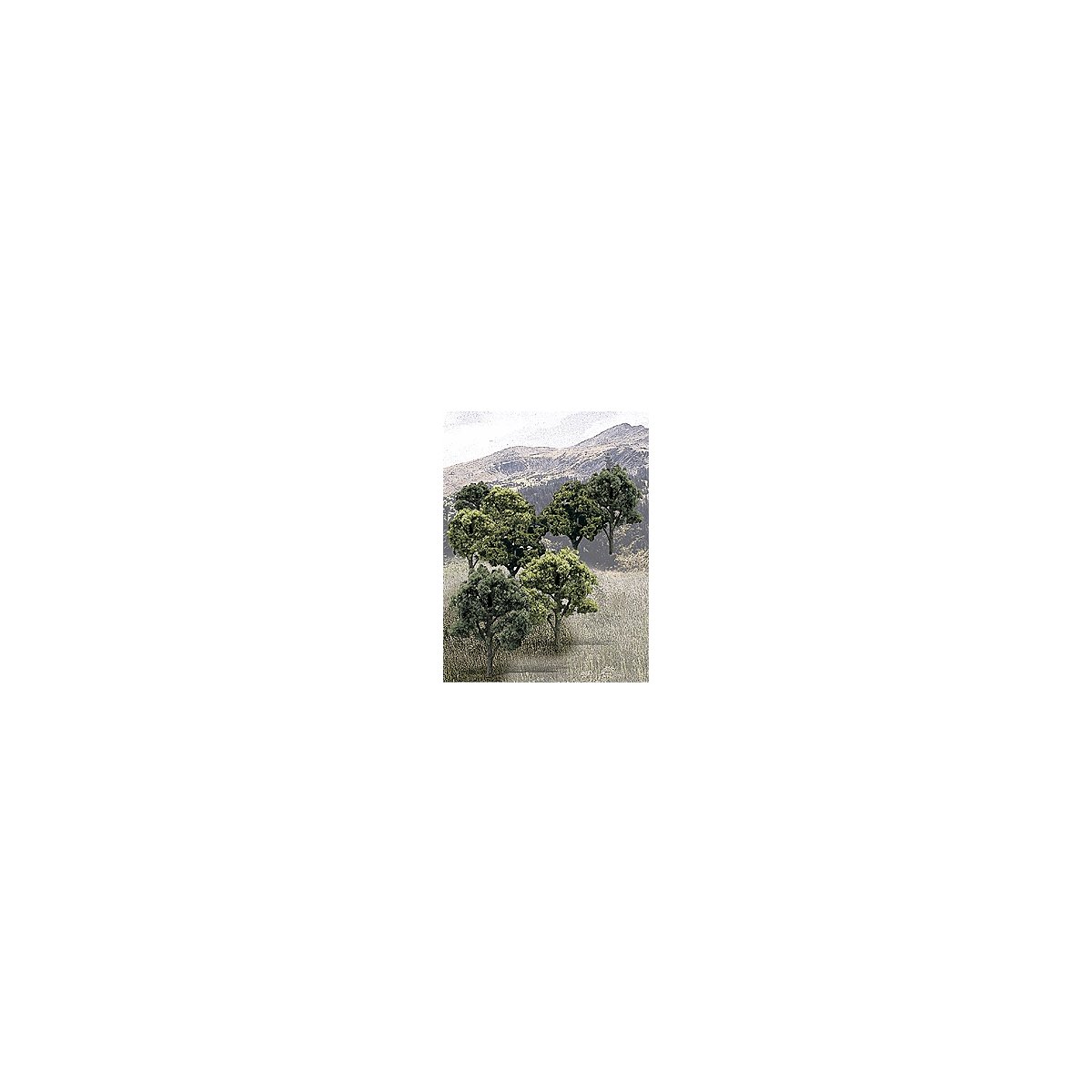 Mixed Green Deciduous Tree Pack - Ready Made Trees(TM) -- 3 to 5′ 7.6 to 12.7cm pkg(14), All Scales, Woodland Scenics 1572