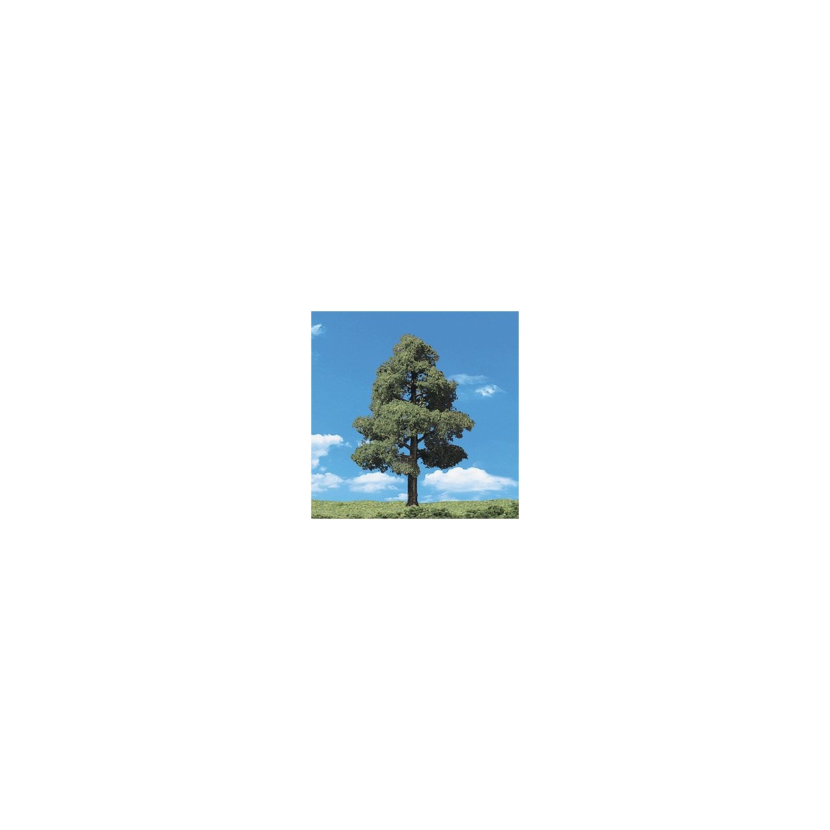 Woodland Classic Trees(R) Ready Made - Sun Kissed -- 3 to 4′ 7.6 to 10.1cm Tall pkg(3), All Scales, Woodland Scenics 3507