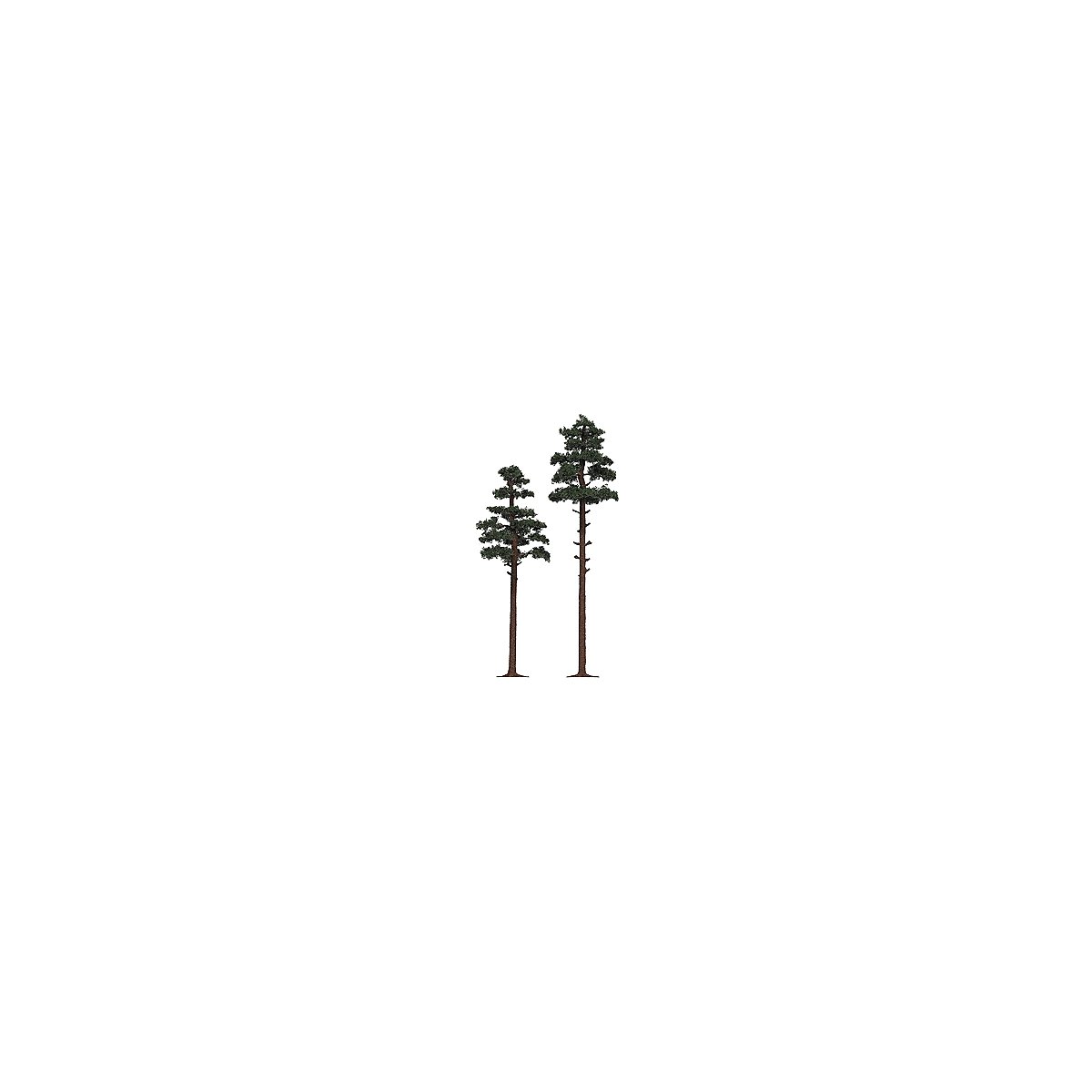 Pine Trees -- 6-7/8 & 8-1/4′ 17.5 & 21cm pkg(2), HO, Busch Gmbh & Co Kg 6144