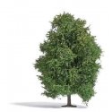 Aspen Tree -- Late Summer 4-1/2′ 11.5cm Tall, HO, Busch Gmbh & Co Kg 3743