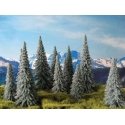 Spruce Tree -- 6 to 7′ 15.2 to 22.9cm pkg(6), All Scales, Grand Central Scenery T11