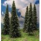 Spruce Tree -- 6 to 7′ 15.2 to 22.9cm pkg(6), All Scales, Grand Central Scenery T11