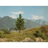 Spruce Tree -- 4-3/4′ 12cm Tall, All Scales, Noch Gmbh & Co 21815