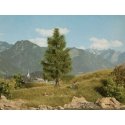 Spruce Tree -- 5-11/16′ 14.5cm Tall, All Scales, Noch Gmbh & Co 21816