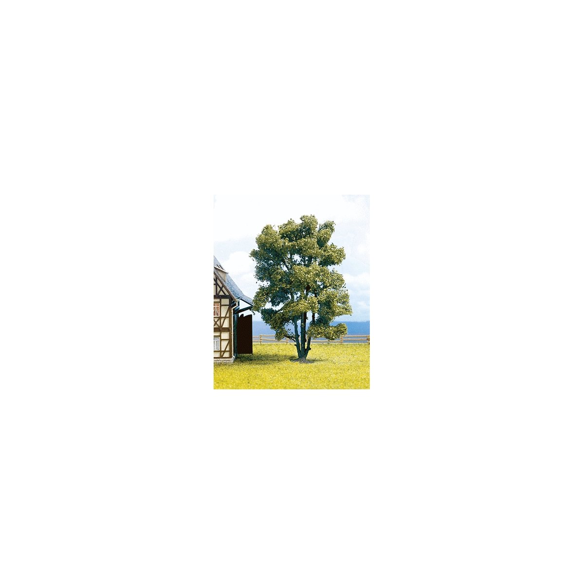 Trees -- Acacia Muli-Trunk - 15 cm, HO, Noch Gmbh & Co 21660