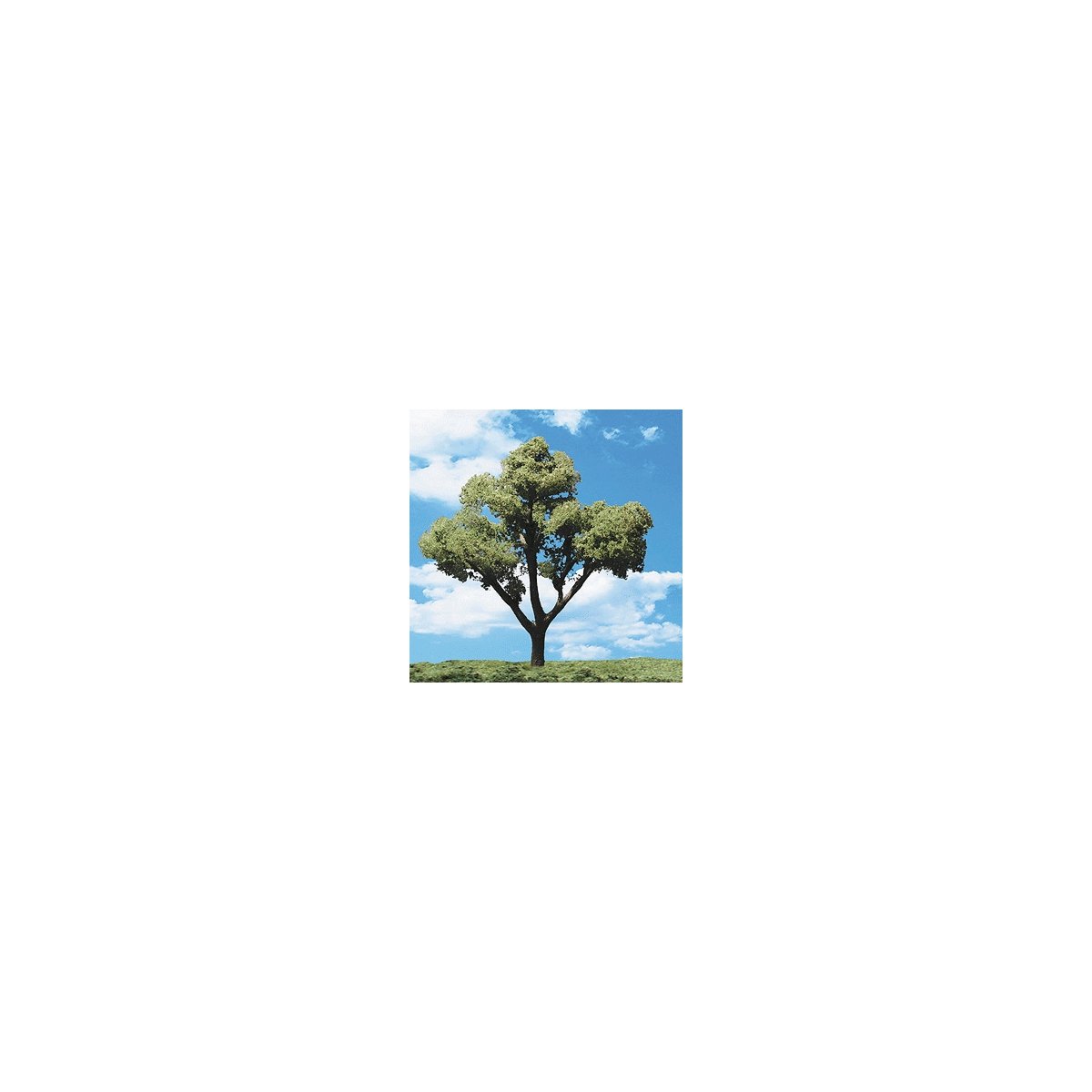 Woodland Classic Trees(R) Ready Made - Early Light -- 5 to 6′ 12.7 to 15.2cm Tall pkg(2, All Scales, Woodland Scenics 3512