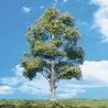 Woodland Classic Trees(R) Ready Made - Waters Edge -- 3/4 to 1-1/4′ 1.9 to 3.2cm Tall p, All Scales, Woodland Scenics 3531