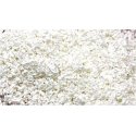 SuperLeaf Flowering Blossom 16oz Shaker -- White, All Scales, Scenic Express 6512