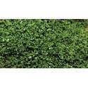 SuperLeaf Scale Model Leaf Flake - Shaker - 16oz 454g -- Medium Green, All Scales, Scenic Express 6132
