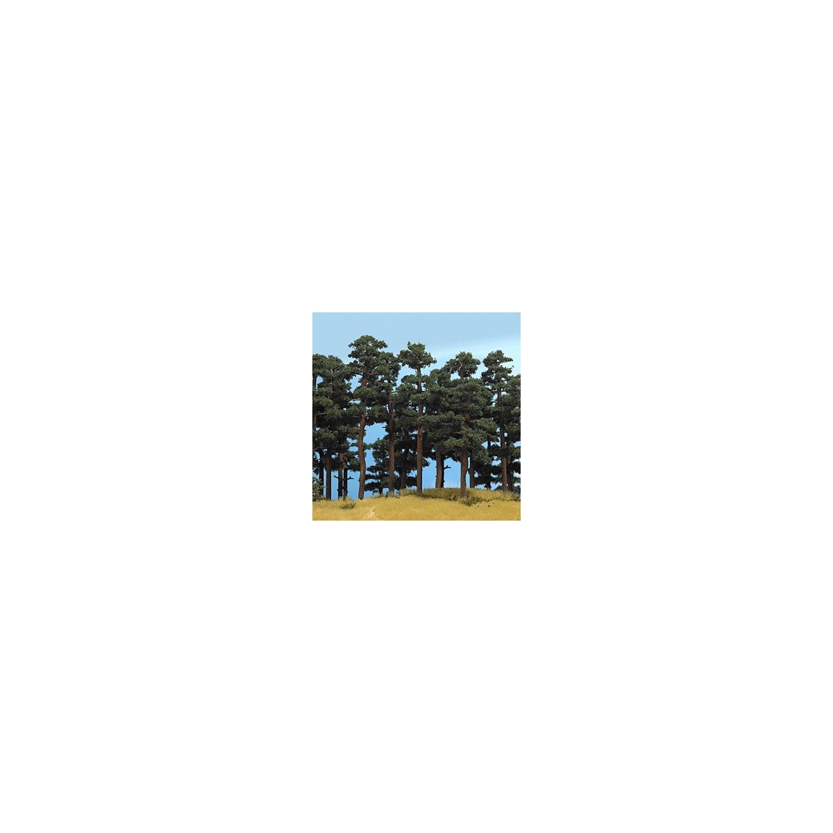 Pine Trees -- 5-1/8 & 5-3/4′ 13 & 14.5cm pkg(2), HO, Busch Gmbh & Co Kg 6141