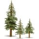 Lodgepole Pine Trees -- 5 to 7′ 15.2 to 20.3cm pkg(2), All Scales, Grand Central Scenery T37