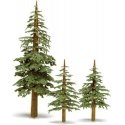 Lodgepole Pine Trees -- 5 to 7′ 15.2 to 20.3cm pkg(2), All Scales, Grand Central Scenery T37