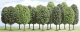 Deciduous Trees -- Assorted, N, Busch Gmbh & Co Kg 6586