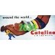 Catalina Swimwear Billboard - Kit, N, Tichy Train Group 2638