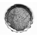 Bottle Cap Sign, S, B.T.S. 689