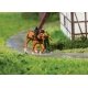 Rahden Horse-Driven Mill -- Laser-Cut Kit - 14 x 8.5 x 9cm, HO, Faller Gmbh 130582