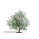 Blossoming Apple Tree - Exclusive -- 2-15/16′ 7.5cm Tall, HO, Busch Gmbh & Co Kg 3651