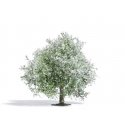 Blossoming Apple Tree - Exclusive -- 2-15/16′ 7.5cm Tall, HO, Busch Gmbh & Co Kg 3651