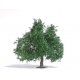 Summer Oak-Fruit Tree - Exclusive -- 3-3/4′ 9.5cm Tall, HO, Busch Gmbh & Co Kg 3662