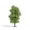 Spring Deciduous Tree - Exclusive -- 4-1/2′ 11.5cm Tall, HO, Busch Gmbh & Co Kg 3721
