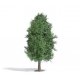 Summer Deciduous Tree - Exclusive -- 4-1/2′ 11.5cm Tall, HO, Busch Gmbh & Co Kg 3722