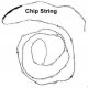 Multicolor Flashing LED Chip Light String -- 12 Lights 12-19V DC or AC, All Scales, Evan Designs UFM12