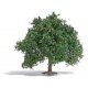 Oak Tree -- Late Summer 3-3/4′ 9.5cm Tall, HO, Busch Gmbh & Co Kg 3663