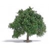 Oak Tree -- Late Summer 3-3/4′ 9.5cm Tall, HO, Busch Gmbh & Co Kg 3663