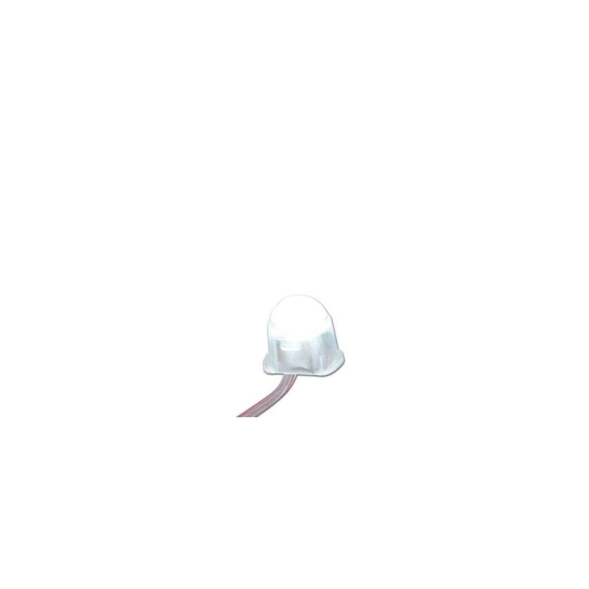 Bulb Holder w/LED -- Neon White, All Scales, Brawa Modellspielwaren 94705