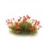 Peel `n` Plant Tufts - All Game Terrain -- Red Flowers, ALL, Woodland Scenics 6629
