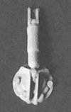 Shock Absorber/Snubber pkg(4) -- EMD Style, HO, Detail Associates 2802